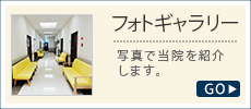 フォトギャラリー